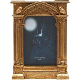 Widdop & Co. Cadre Photo Harry Potter Hogwarts 22cm Multicolor One Size unisex
