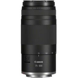 Canon EOS R8 II + RF 75-300 mm f/4-5,6