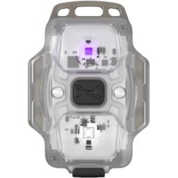 ArmyTek Crystal WUV Grey F07001GUV LED Lampe de poche avec dragonne, avec interface USB à batterie 150 lm 34 g