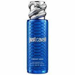 Brume Corps et Cheveux Vibrant Aqua 250 ml
