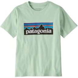 Patagonia T-shirt Logo Coton Bio Bleu pâle 16/18 ans
