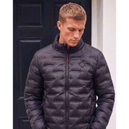 Isotoner - Doudoune Homme manches longues Noir noir L Homme