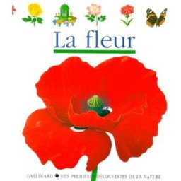 La fleur Claude Delafosse, René Mettler Gallimard-Jeunesse