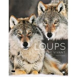 Loups : un mythe vivant Pierre Rigaux Delachaux et Niestlé