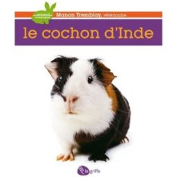 Le cochon d'Inde Manon Tremblay LA GRIFFE