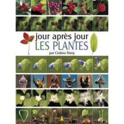 Jour après jour les plantes Ciabou Hany Plume de carotte