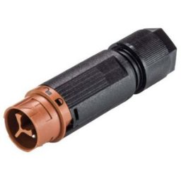 Wieland Electric 46.032.4551.4 Cosse cylindrique mâle mâle, droit Nombre total de pôles: 2 Série (connecteur rond): RST® MINI 1 pc(s)