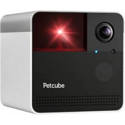 Petcube Caméra De Surveillance Vidéo Play 2 Black / Grey One Size unisex