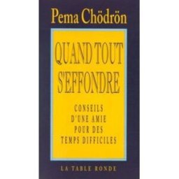 Quand tout s'effondre : conseils d'une amie pour des temps difficiles Pema Chodrun La Table ronde