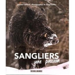 Sangliers : une passion Laurent Cabanau Sud-Ouest