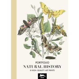PEPIN PRESS Estampes - 8 Reproductions Fleurs Et Insectes - 42x30cm - Haute Qualité - Affiches