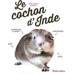 Le cochon d'Inde Marie-Sophie Germain Rustica
