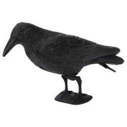 floraworld Figurine d’animal Corbeau plastique, noir 37x15 cm (010905)