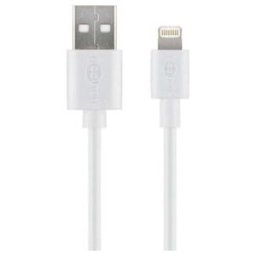 Goobay Câble de données/charge USB Apple pour iPod/iPhone, 1 m, blanc 54600 (54600)