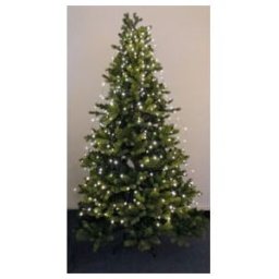 Hellum Guirlande lumineuse LED perles de rosée 12 brins blanc chaud (577815)