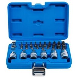 BGS technic Jeu d’embouts et de douilles à embouts 12,5 mm (1/2
