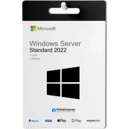 Microsoft Windows Server 2022 Standard (16 cœurs)