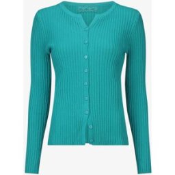 stand-prive.com Gilet uni côtelé coupe ajustée - Turquoise turquoise T.U female