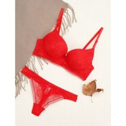 stand-prive.com Ensemble à fine broderie fleurie et string - Rouge rouge 100C/44 female