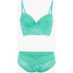 stand-prive.com Ensemble bustier en dentelle fleurie - vert menthe - vert clair vert-clair 100C/42 female