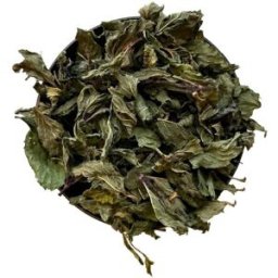 France Herboristerie Tisane Menthe poivrée feuille 100 GRS Mentha piperita