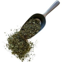 France Herboristerie Tisane Noisetier (Coudrier) feuille 1 KILO Corylus avellana