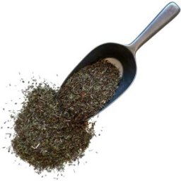 France Herboristerie Tisane Serpolet plante Thymus serpyllum.