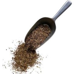 France Herboristerie Tisane Chrysantellum americanum plante Chrysantellum americanu