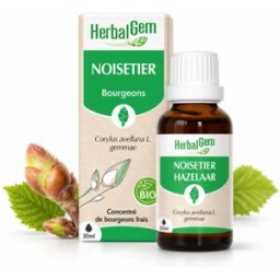 Bourgeon de Noisetier Bio HerbalGem – Macérat-Mère Concentré – 30 ml