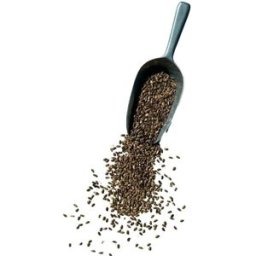France Herboristerie Tisane Chardon Marie semence ENTIERE Silybum marianum