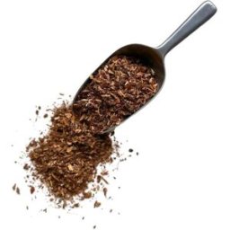 France Herboristerie Tisane Chêne écorce Quercus robur.