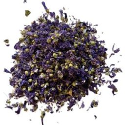 France Herboristerie Tisane Mauve du Nord fleur ENTIERE SUPER CHOIX Malva sylvestris