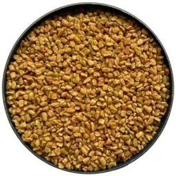 France Herboristerie Tisane Fenugrec semence 1 KILO ENTIERE Trigonella foenum-graecum.