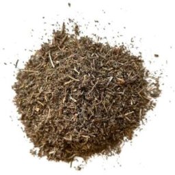 France Herboristerie Tisane Menthe pouilot feuille Mentha pulegium.