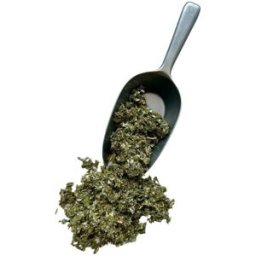 France Herboristerie Tisane Framboisier (rubus idaeus) - 1Kg