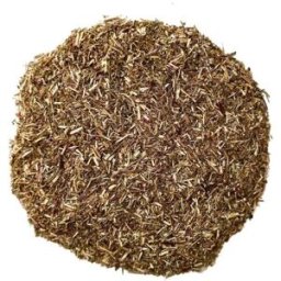France Herboristerie Tisane Aurône mâle plante 250 GRS Artemisia abrotanum.