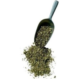 France Herboristerie Tisane Chardon Marie plante 1 KILO Silybum marianum
