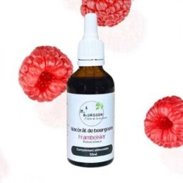France Herboristerie Macérât de bourgeons de Framboisier - Gemmo - Rubus idaeus - 50ml