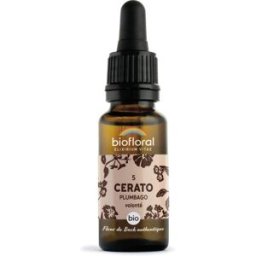 Biofloral FLEURS DE BACH n°5 Cerato, Plumbago
