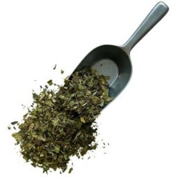 France Herboristerie Tisane Plantain feuille France extra Plantago lanceolata.