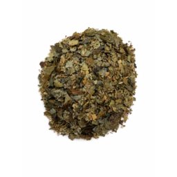 France Herboristerie Tisane Châtaignier - Castanea vulgaris - Feuilles coupées