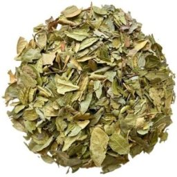 France Herboristerie Tisane Boldo feuille 1 KILO Peumus boldus.