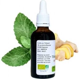 France Herboristerie Tisane instantanée Menthe Gingembre - Mentha gracilis - Flacon de 50ml