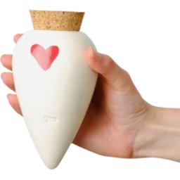 Pépin Olla Cœur en terre cuite - Arrosage autonome naturel pour plantes en pot