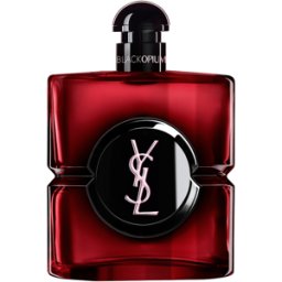 Yves Saint Laurent - Black Opium Eau De Parfum Over Red - Café Floral - Cerise Rouge - Pour Femme - 90ML