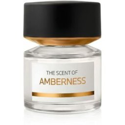 BMW Fragrances Amberness Eau de Parfum (Unisexe) 100 ml