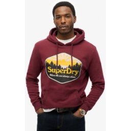 Homme Sweat à Capuche Superdry Sun Tab Violet Taille: L