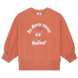 Hundred Pieces - Sweat col rond en coton mélangé Ronnie brique 6 A