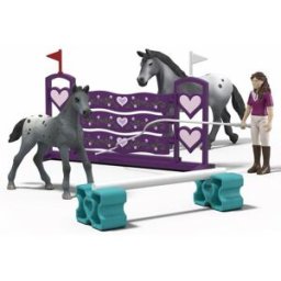 La Grande Récré Figurines Chevaux Entraînement de Lisa pour le Tournoi