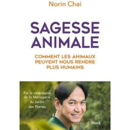 Sagesse animale : comment les animaux peuvent nous rendre plus humains Norin Chaï Stock